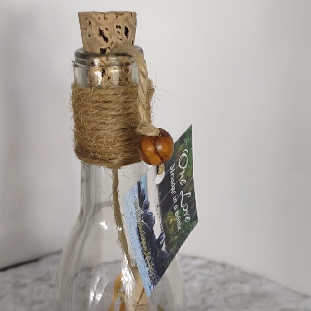 Message in the Bottle - Picture 7 of 8